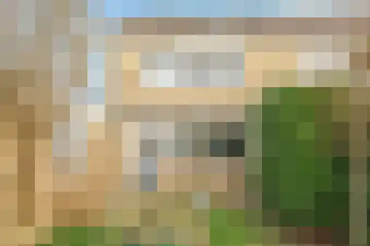 Henri Dunantplantsoen 7 Zetten thumbnail 44