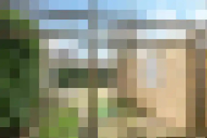 Henri Dunantplantsoen 7 Zetten thumbnail 45