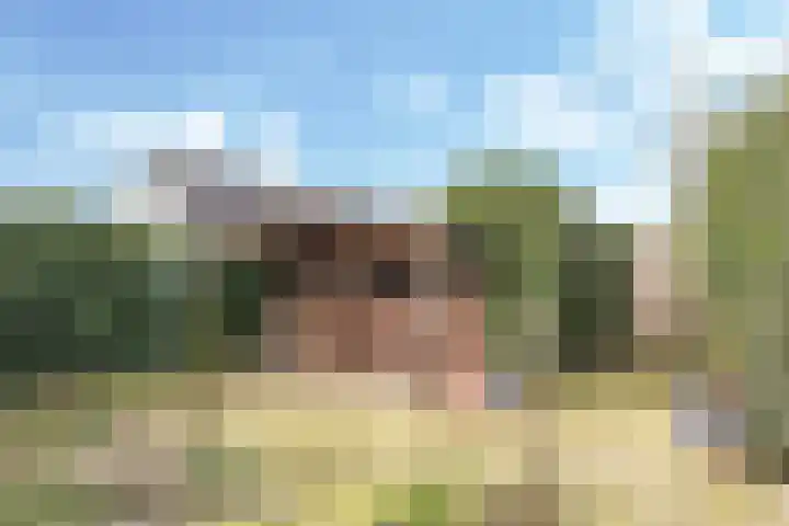 Henri Dunantplantsoen 7 Zetten thumbnail 48