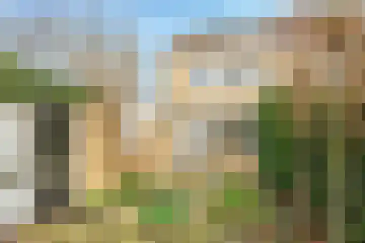 Henri Dunantplantsoen 7 Zetten thumbnail 50