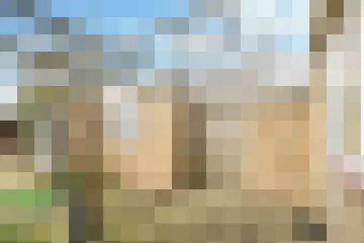 Henri Dunantplantsoen 7 Zetten thumbnail 52