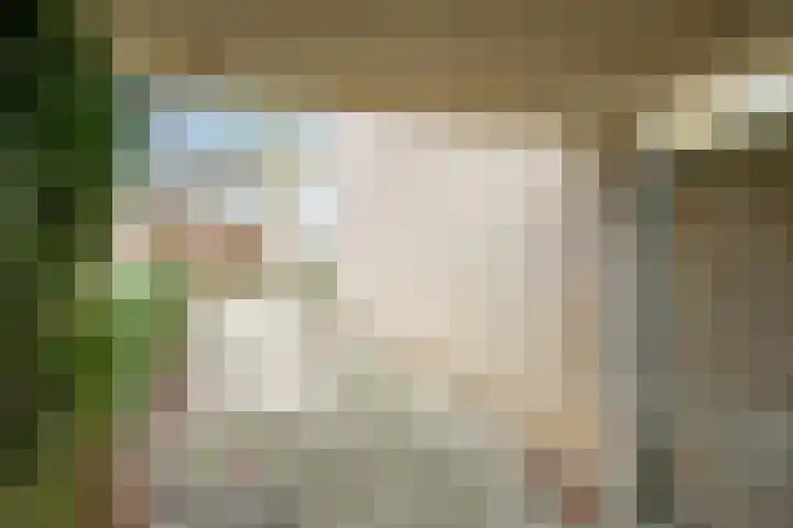 Henri Dunantplantsoen 7 Zetten thumbnail 56
