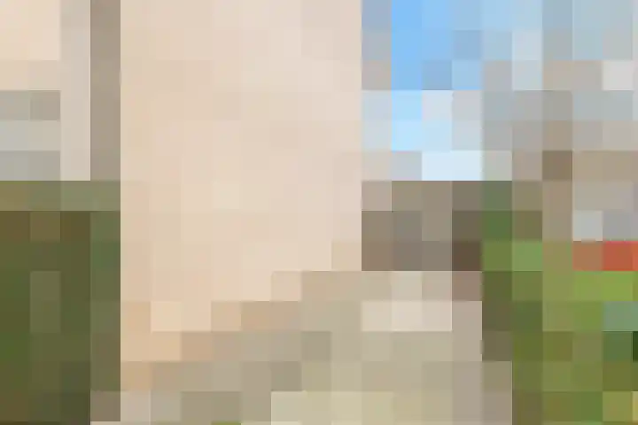 Henri Dunantplantsoen 7 Zetten thumbnail 57