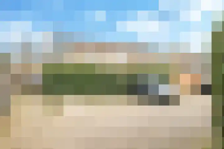 Henri Dunantplantsoen 7 Zetten thumbnail 64