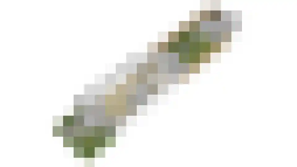 Henri Dunantplantsoen 8 Zetten thumbnail 52