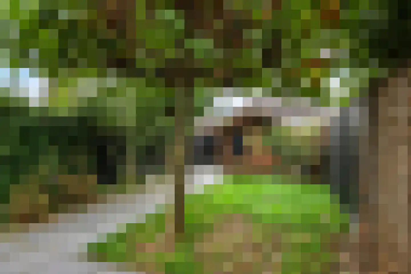 Henri Dunantplantsoen 8 Zetten thumbnail 61