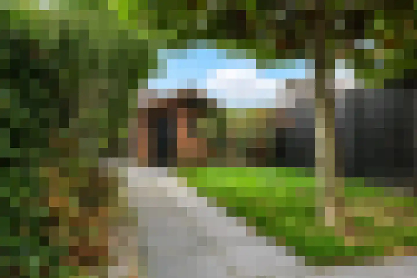 Henri Dunantplantsoen 8 Zetten thumbnail 62