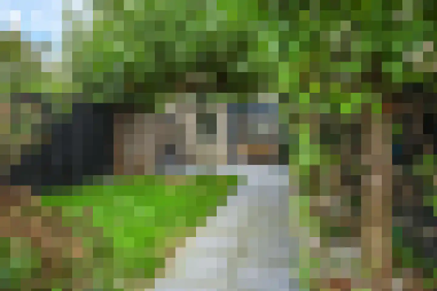 Henri Dunantplantsoen 8 Zetten thumbnail 63