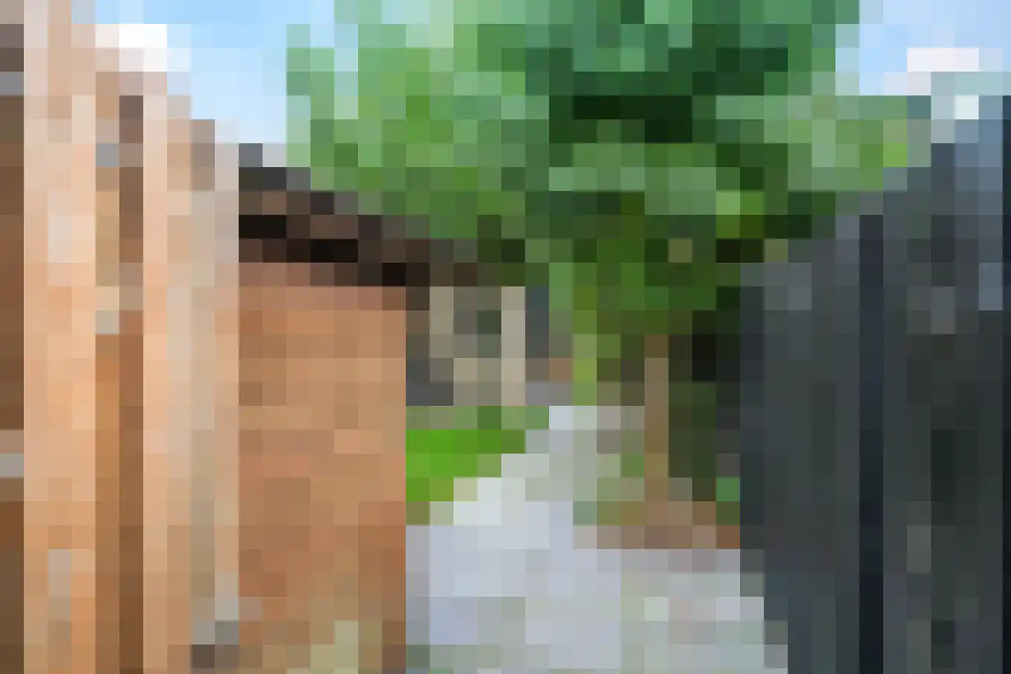 Henri Dunantplantsoen 8 Zetten thumbnail 66