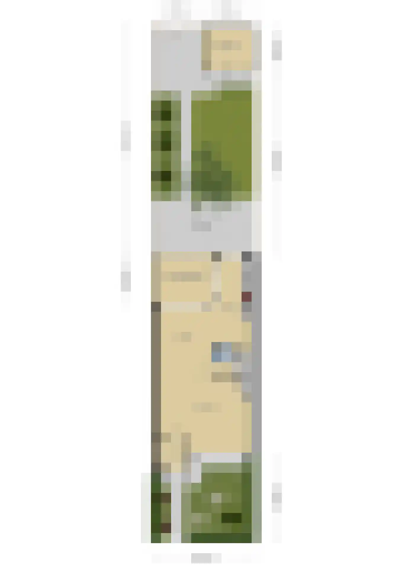Henri Dunantplantsoen 8 Zetten thumbnail 7