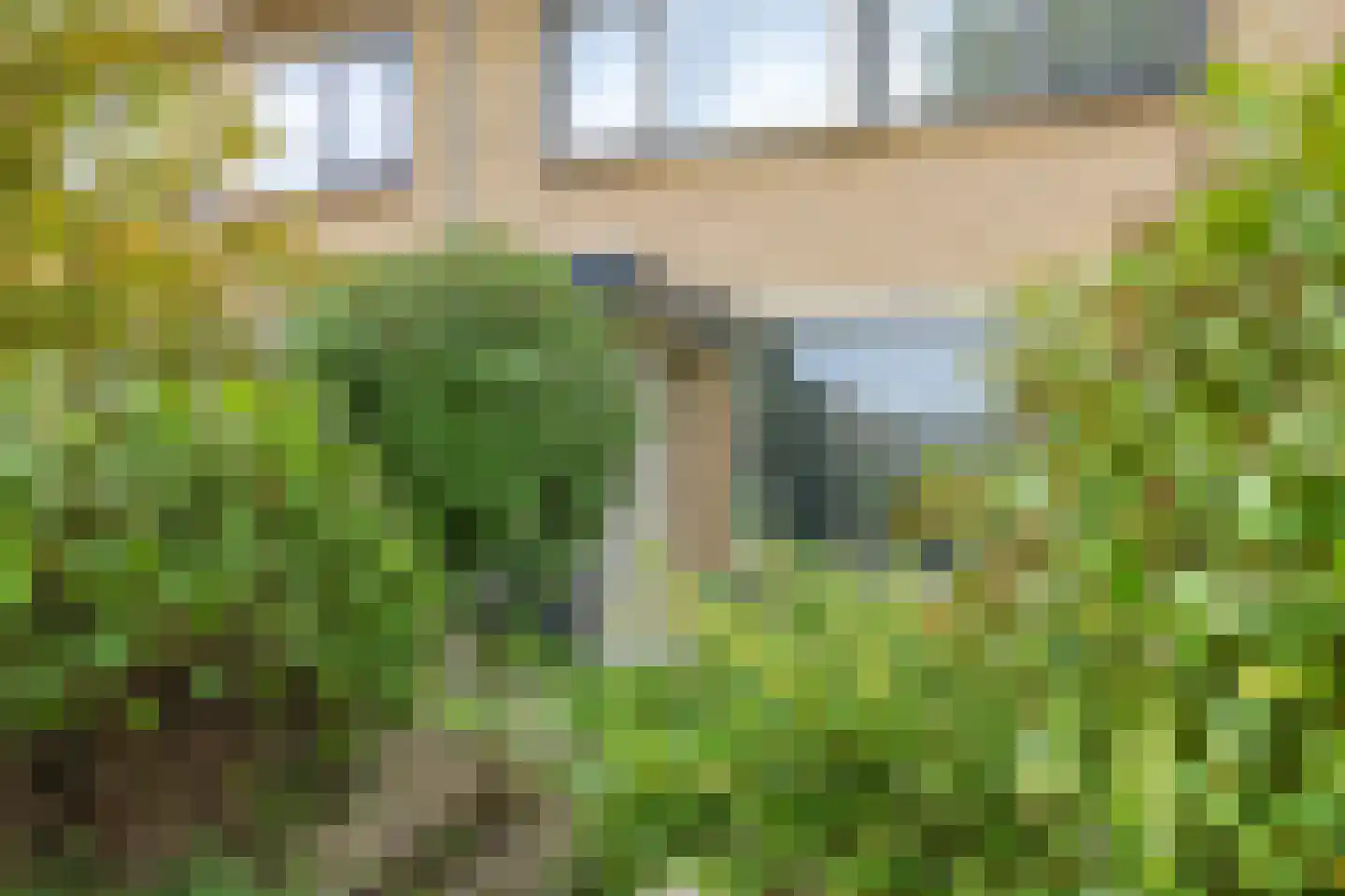 Henri Dunantplantsoen 8 Zetten thumbnail 70