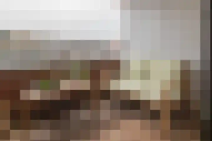 Henri Dunantplein 63 Hillegom thumbnail 25