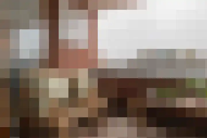 Henri Dunantplein 63 Hillegom thumbnail 26