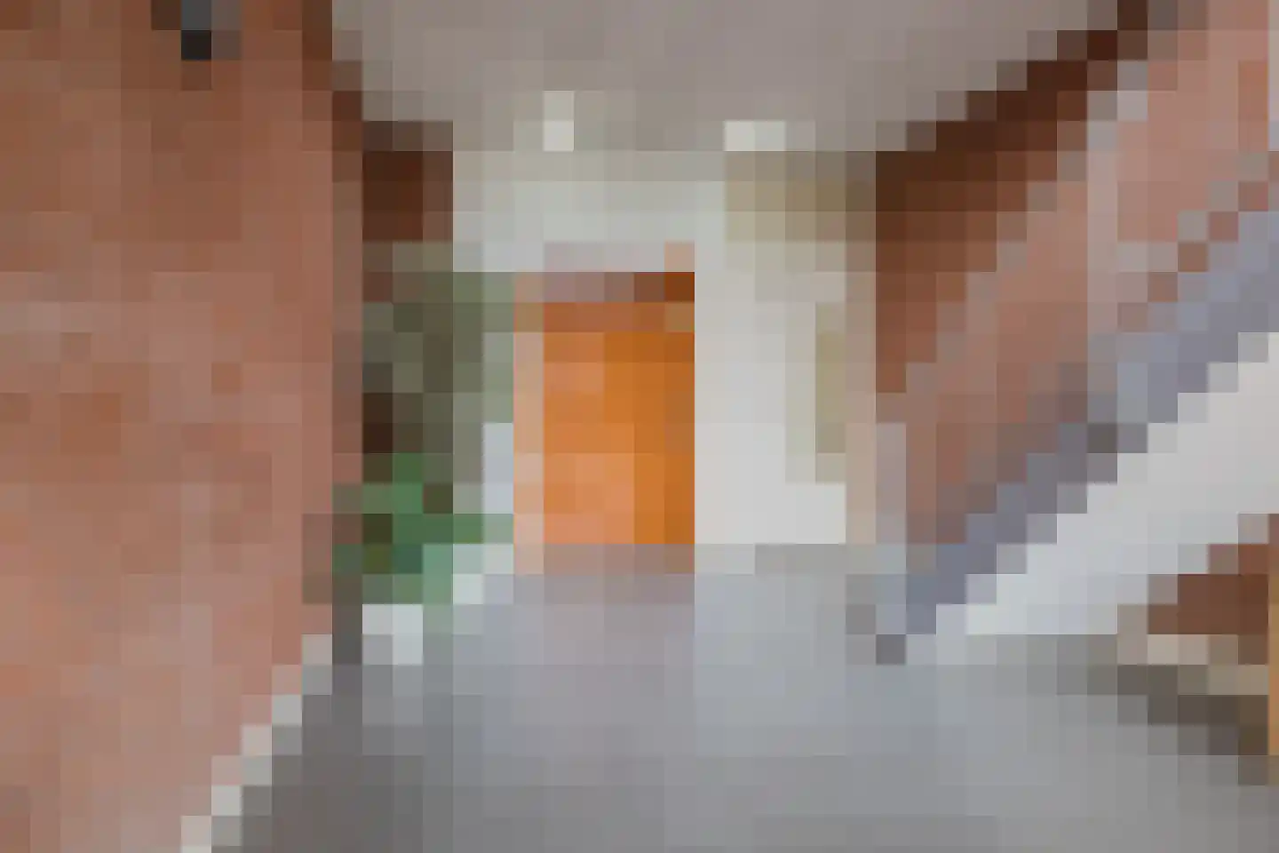 Henri Dunantplein 75 Hillegom thumbnail 9