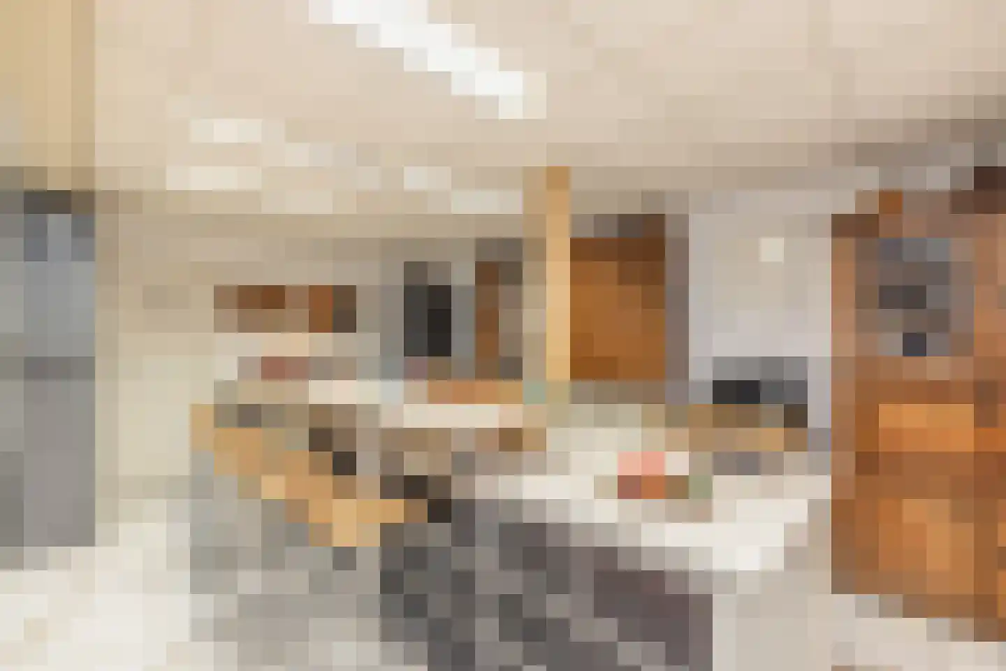 Henri Dunantplein 77 Hillegom thumbnail 13