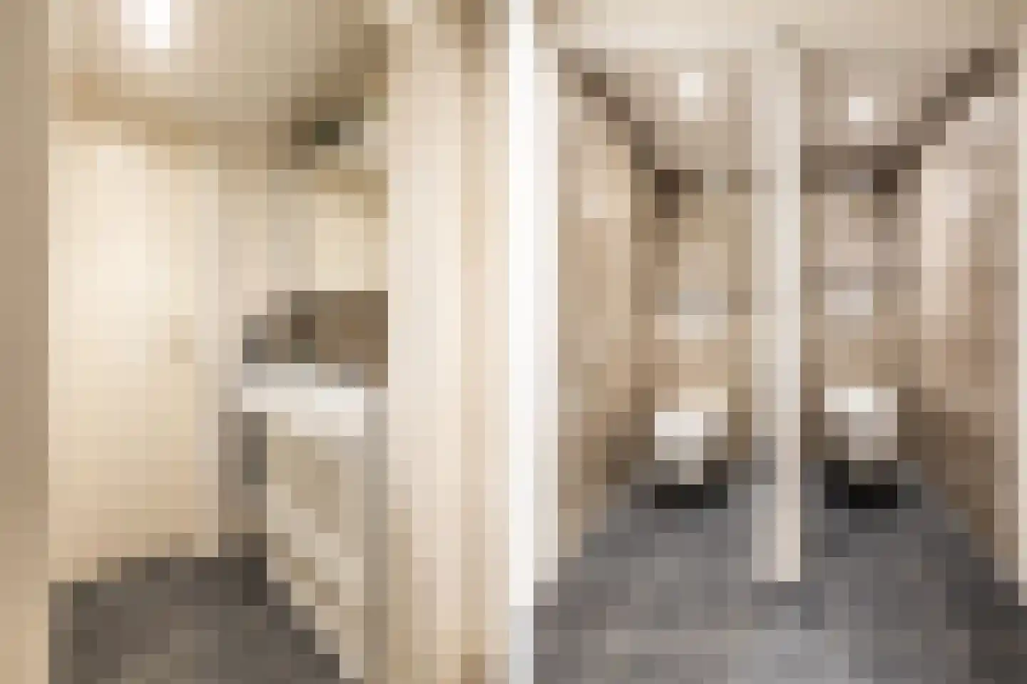 Henri Dunantplein 77 Hillegom thumbnail 20