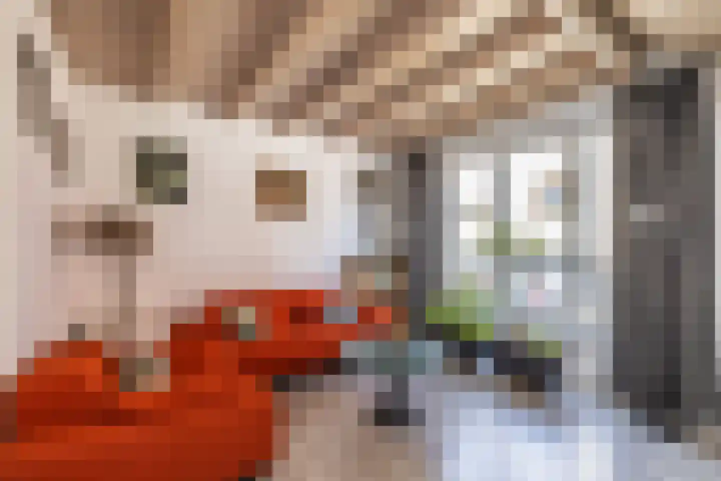 Henri Dunantplein 77 Hillegom thumbnail 26
