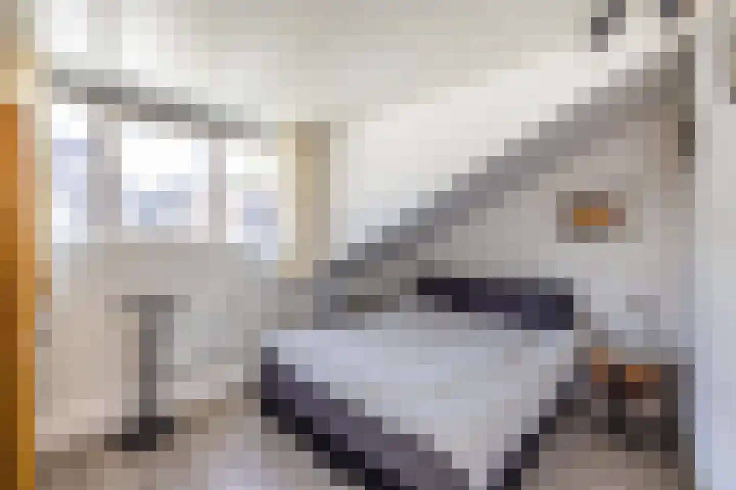 Henri Dunantplein 77 Hillegom thumbnail 33
