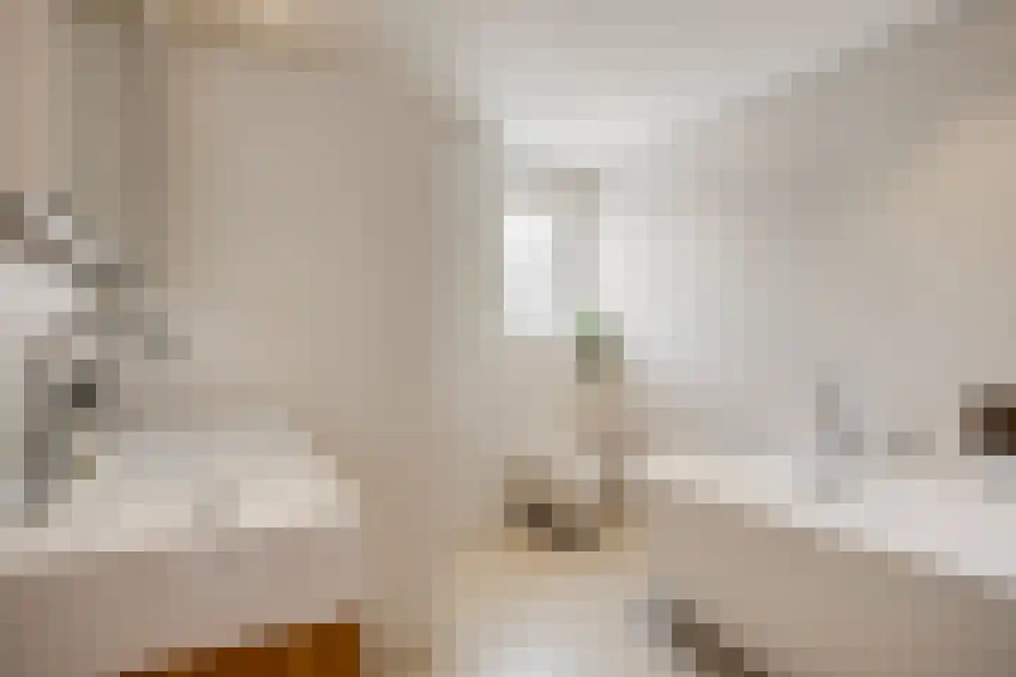 Henri Dunantsingel 108 Castricum thumbnail 29