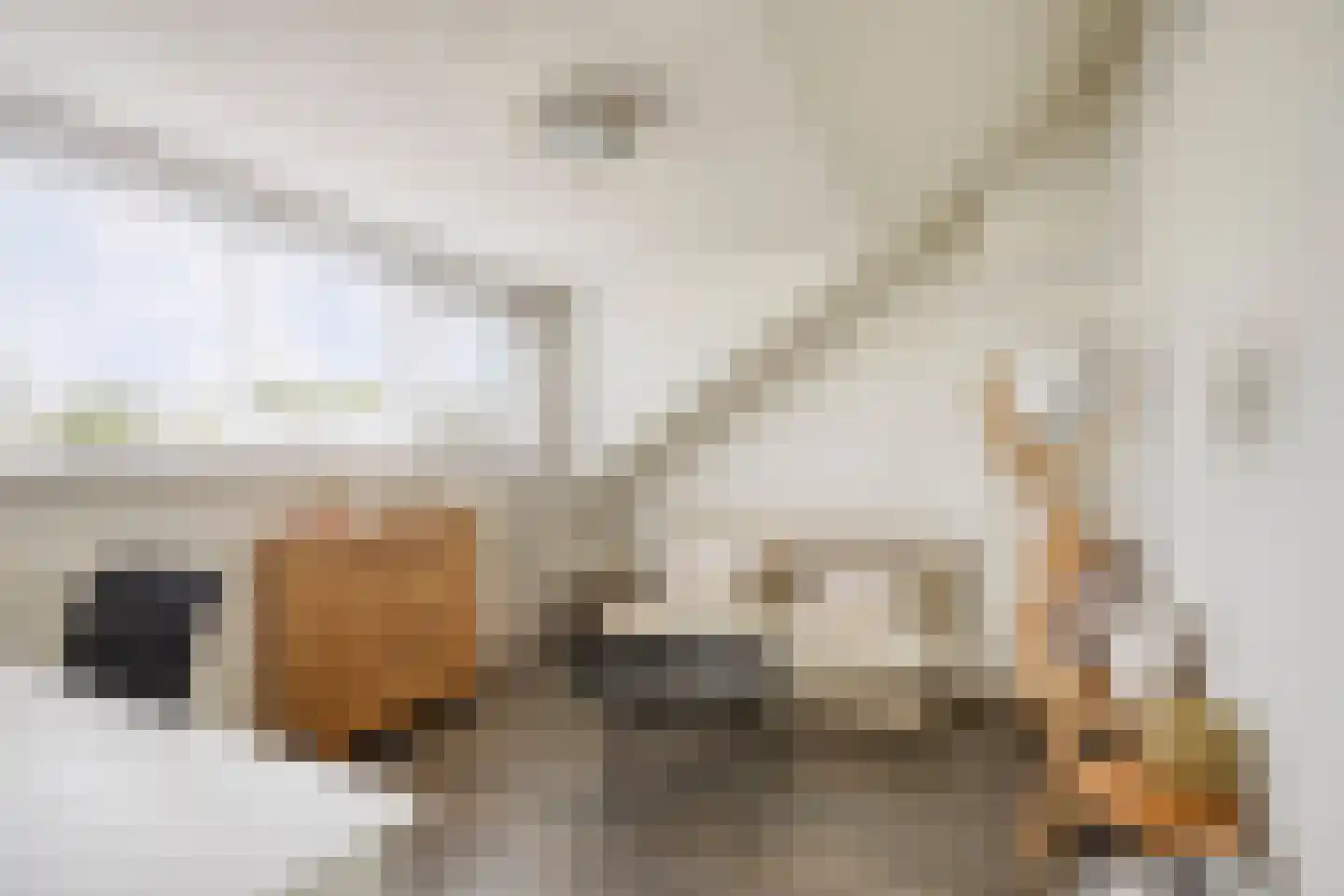 Henri Dunantsingel 108 Castricum thumbnail 38