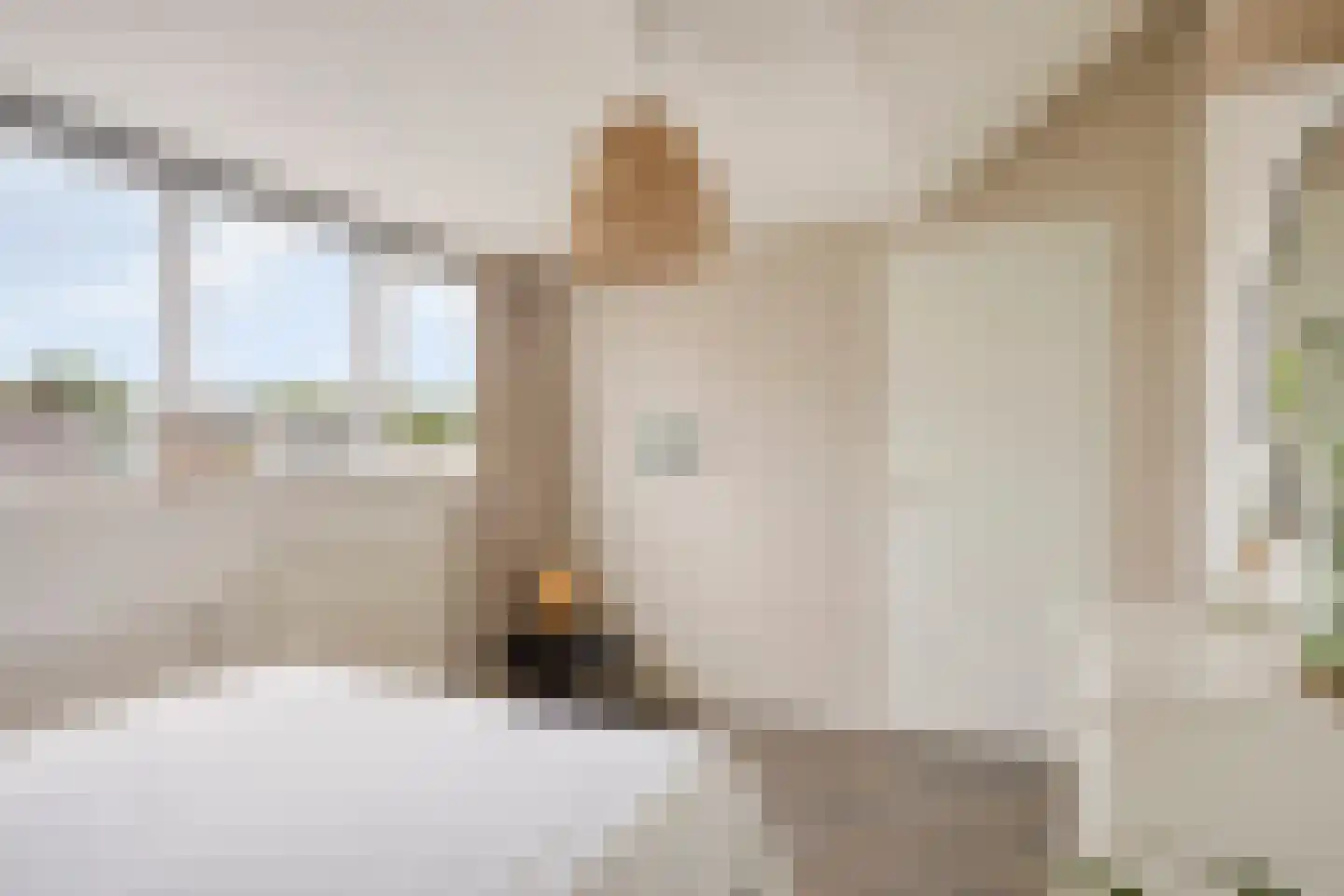 Henri Dunantsingel 108 Castricum thumbnail 43