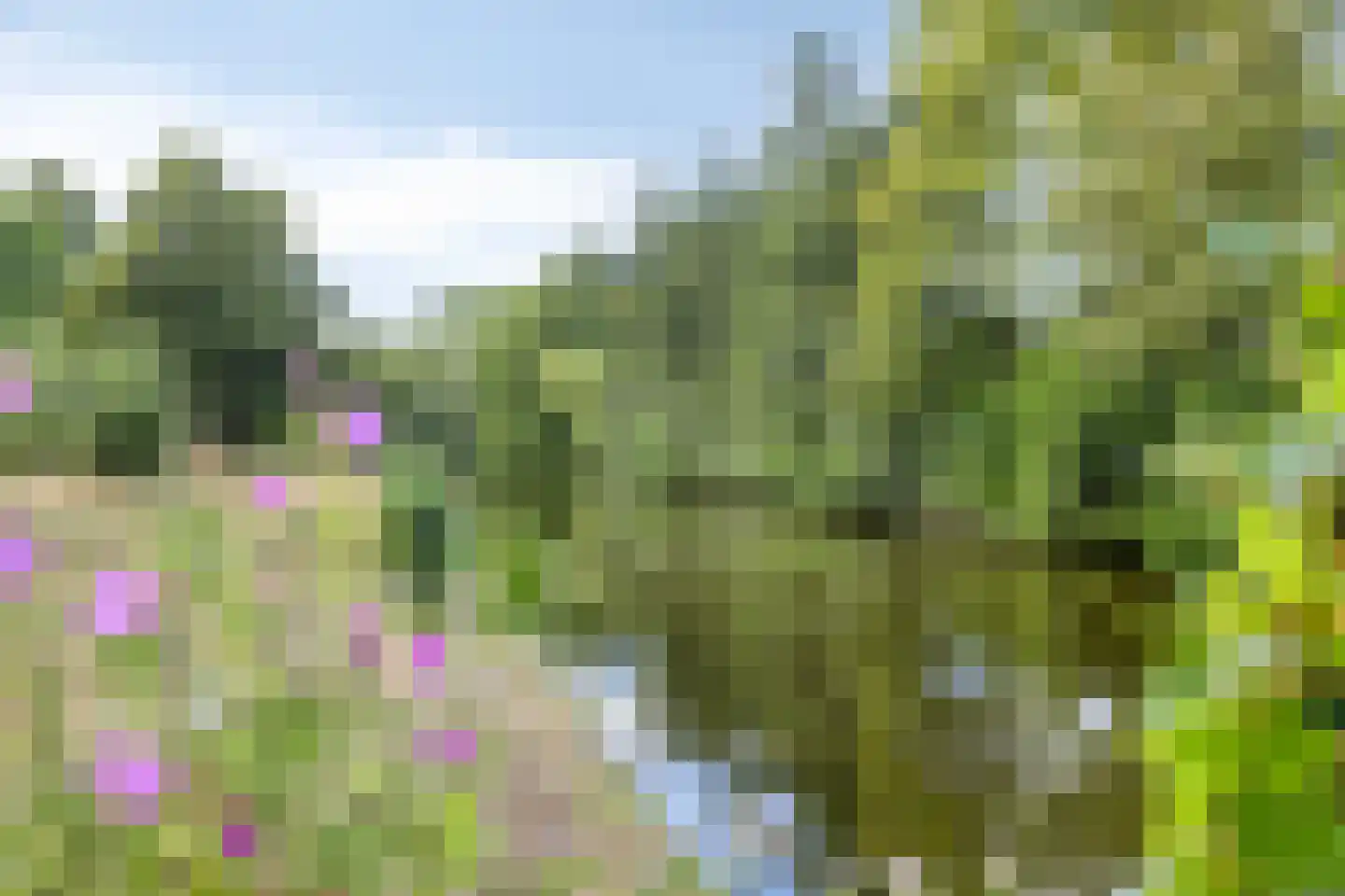 Henri Dunantsingel 108 Castricum thumbnail 48