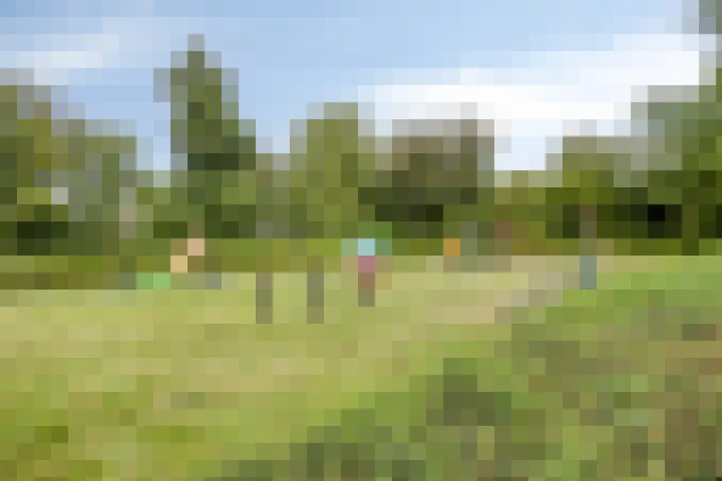 Henri Dunantsingel 108 Castricum thumbnail 50