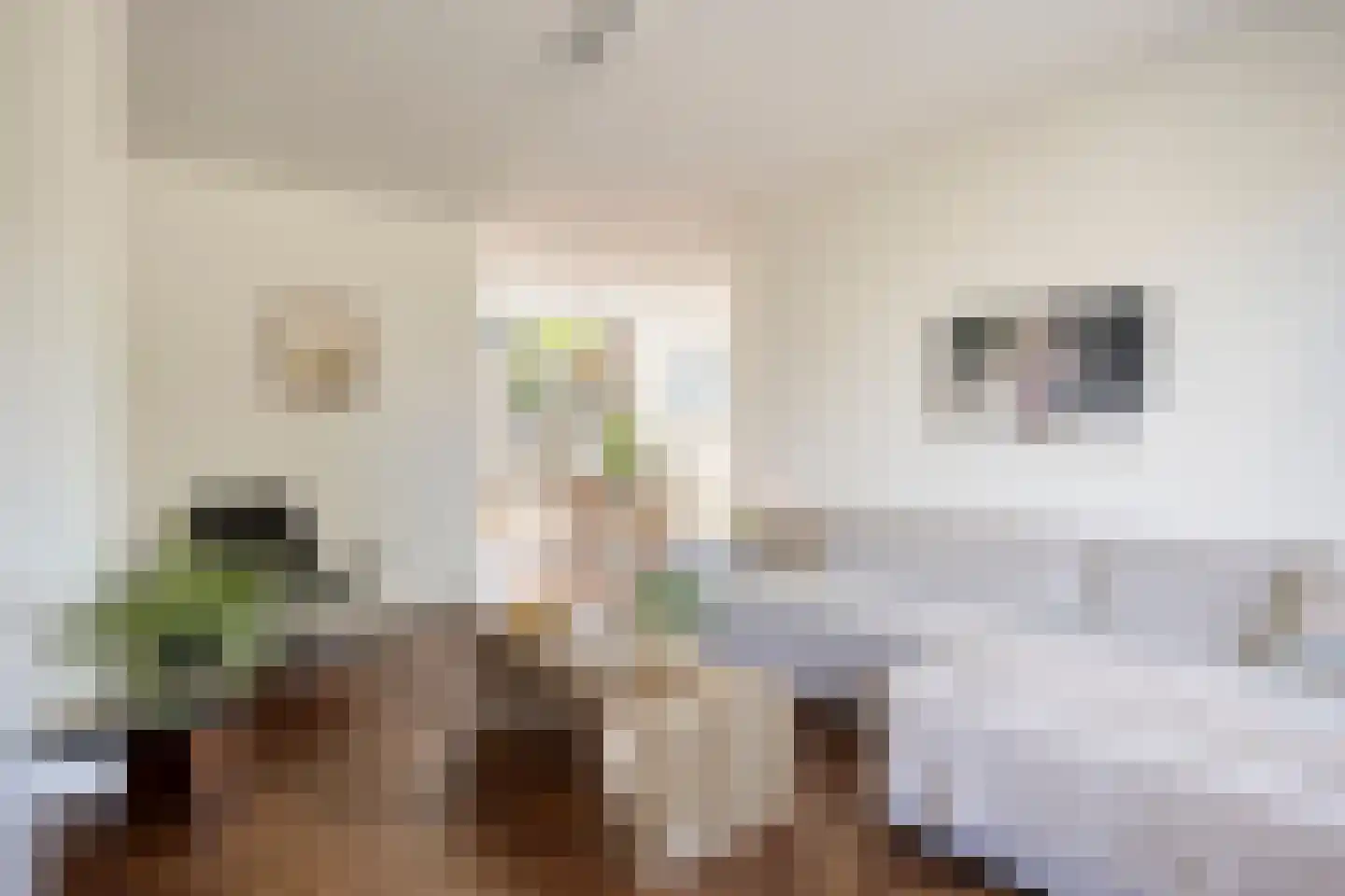 Henri Dunantsingel 108 Castricum thumbnail 7