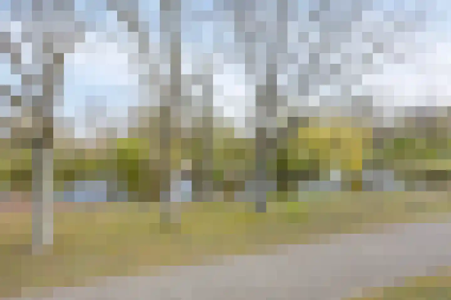 Henri Dunantsingel 156 Castricum thumbnail 25