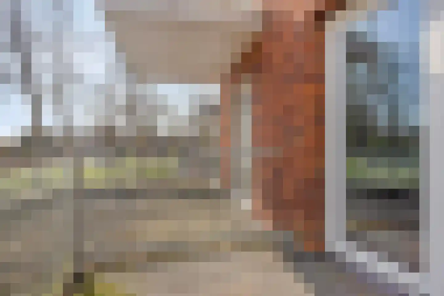 Henri Dunantsingel 156 Castricum thumbnail 9