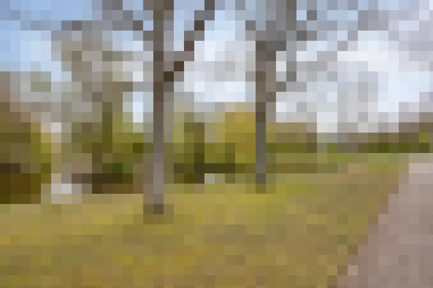 Henri Dunantsingel 178 Castricum thumbnail 29