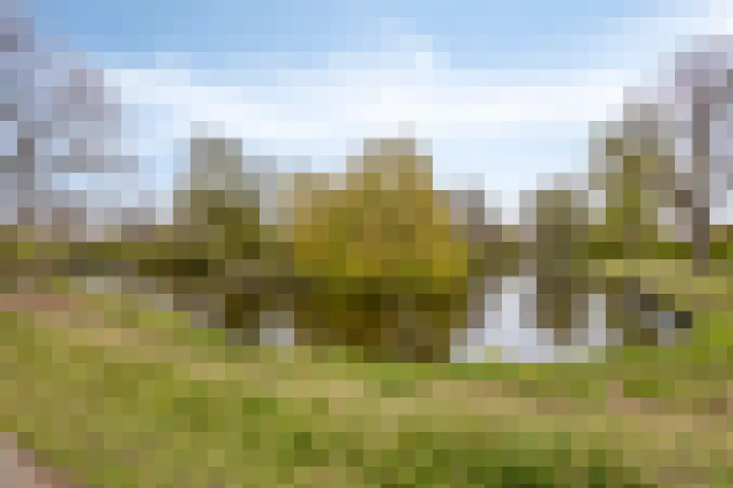 Henri Dunantsingel 178 Castricum thumbnail 30
