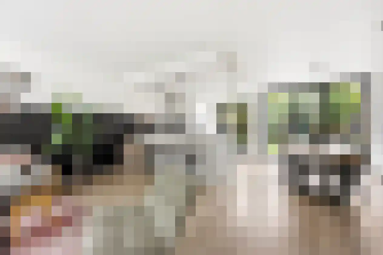 Henri Dunantsingel 18 Papendrecht thumbnail 5