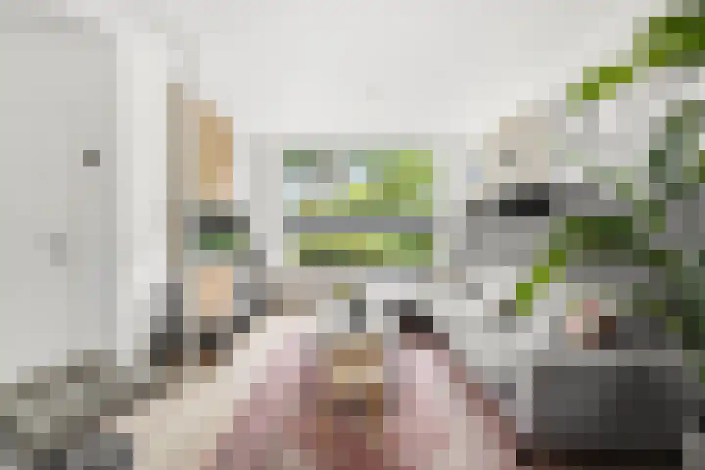 Henri Dunantsingel 18 Papendrecht thumbnail 6