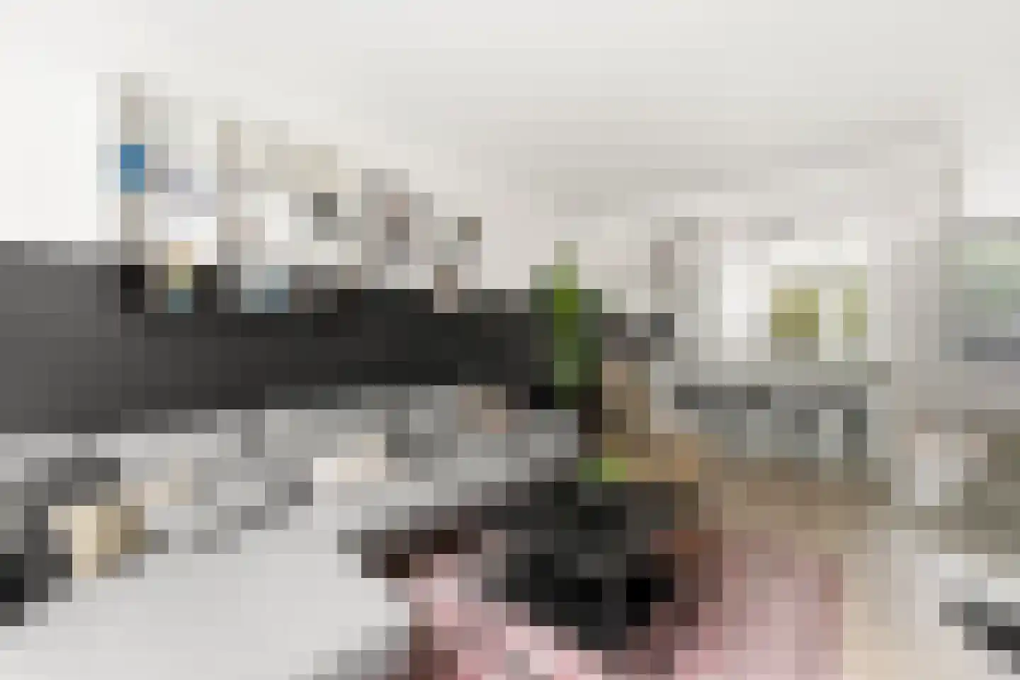 Henri Dunantsingel 18 Papendrecht thumbnail 8