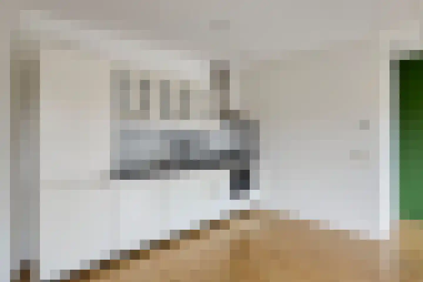 Henri Dunantsingel 200 Castricum thumbnail 7