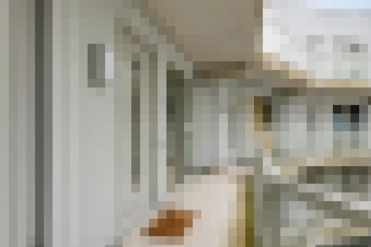 Henri Dunantsingel 216 Castricum thumbnail 23