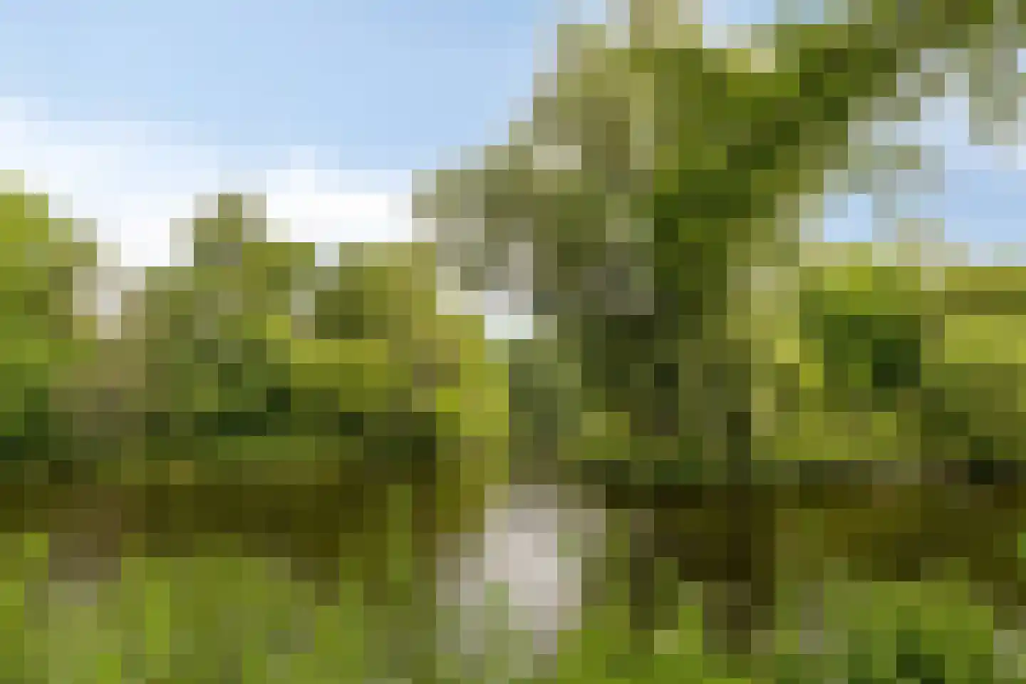 Henri Dunantsingel 216 Castricum thumbnail 32
