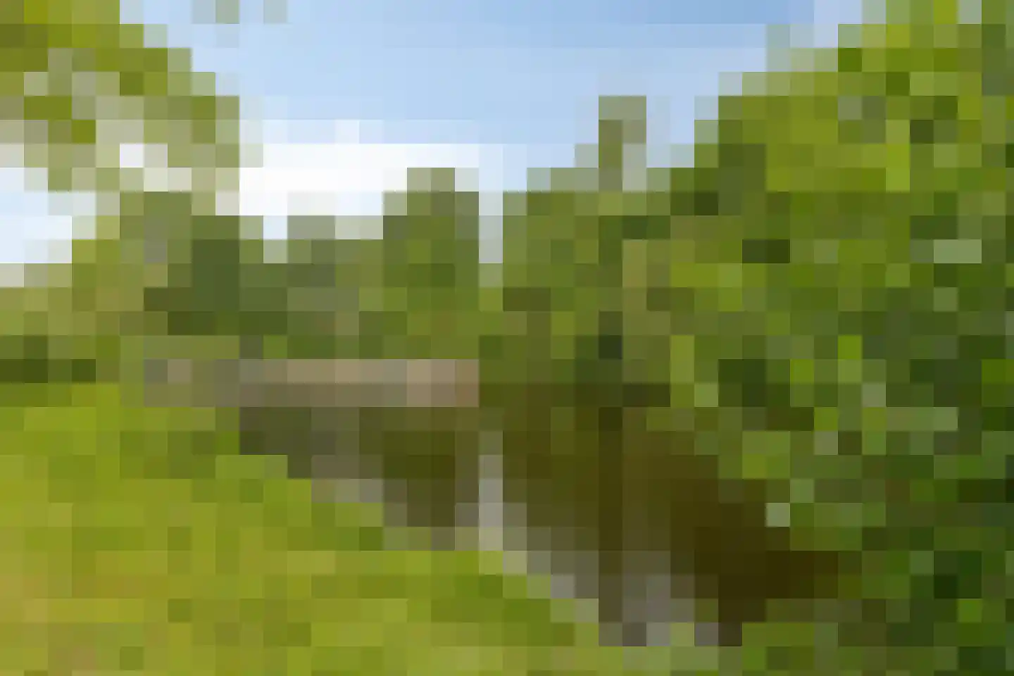 Henri Dunantsingel 216 Castricum thumbnail 33