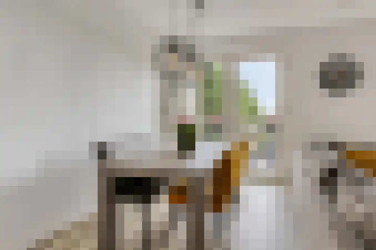 Henri Dunantsingel 216 Castricum thumbnail 4