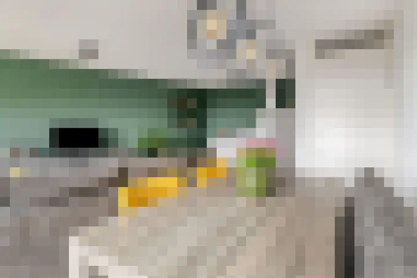 Henri Dunantsingel 216 Castricum thumbnail 6