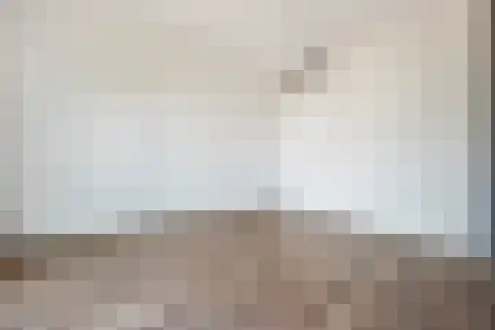 Henri Dunantsingel 220 Castricum thumbnail 10