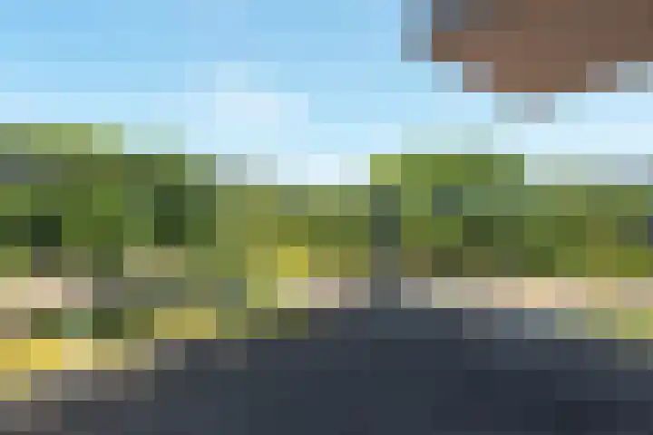 Henri Dunantsingel 220 Castricum thumbnail 17