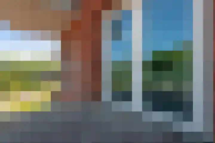 Henri Dunantsingel 220 Castricum thumbnail 18