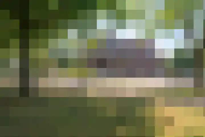 Henri Dunantsingel 220 Castricum thumbnail 20