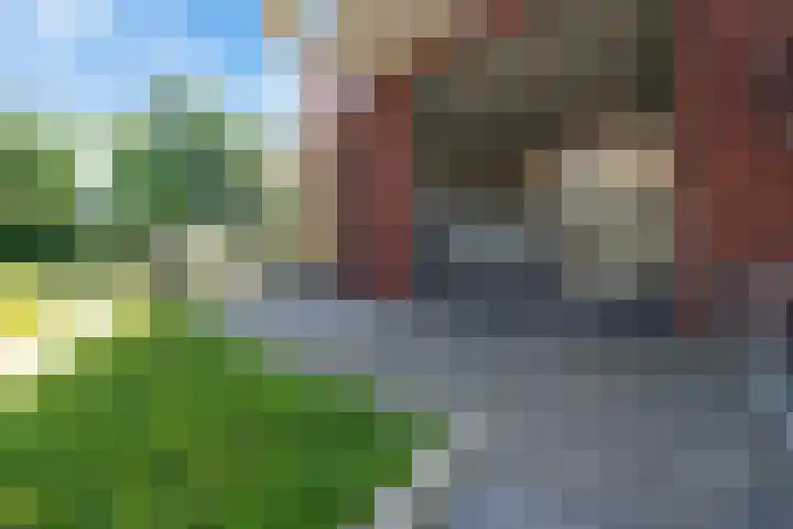 Henri Dunantsingel 220 Castricum thumbnail 23