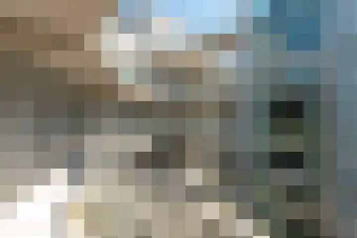 Henri Dunantsingel 220 Castricum thumbnail 24