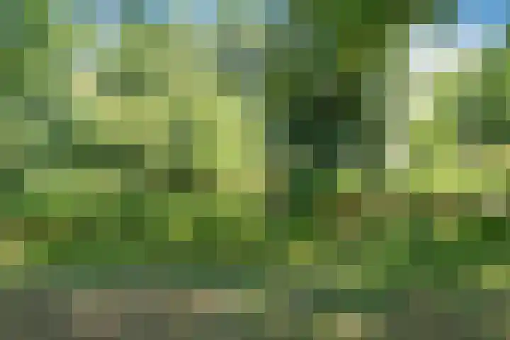 Henri Dunantsingel 220 Castricum thumbnail 26