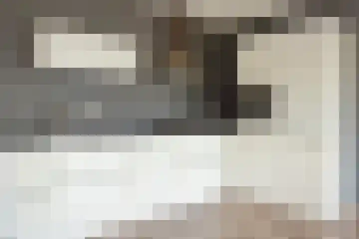 Henri Dunantsingel 220 Castricum thumbnail 6