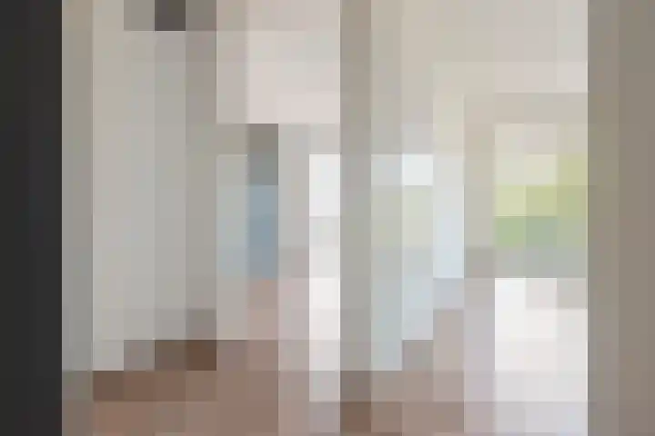 Henri Dunantsingel 220 Castricum thumbnail 8